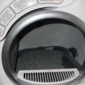 Wero Kedi Tuvaletinde Membran Sorunu Ve Servis Gecikmesi