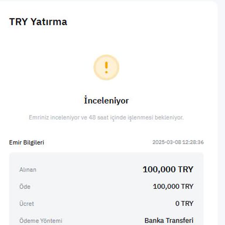 Bybit Delaying Deposit for 48+ Hours Without Approval
