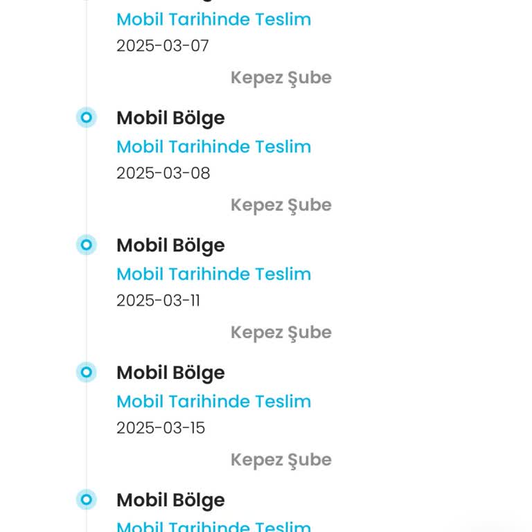 Kargoist Antalya Kepez Şubesi: Gecikmiş Teslimatlar Ve İletişim Sorunları