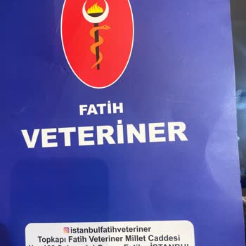 Yanlış Tedavi Sonucu Hayvan Kaybı