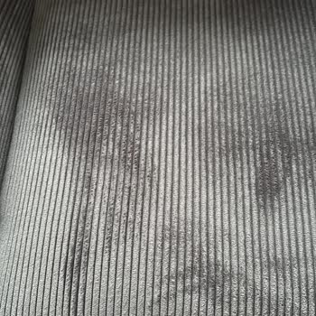 Buharlı Temizleyici Koltukları Mahvetti