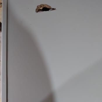 Kırık Gelen Çamaşır Makinesi Ve İade Sorunu