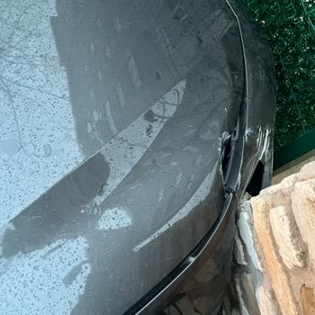 Ray Sigorta'nın Müşteri Hizmetleri Ve Hasar Yönetimi Sorunları