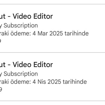 CapCut doppelte Abbuchungen über einen langen Zeitraum