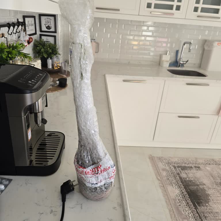 Alz Garden Yaban Mersini Fidanı Yerine Çalı Çırpı Geldi