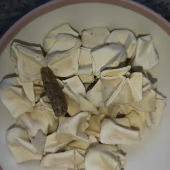 Superfresh Mantıda Beklenmedik Sürpriz