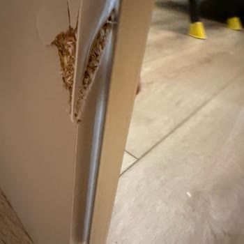 Ürün Eksikliği Ve İade Sorunları