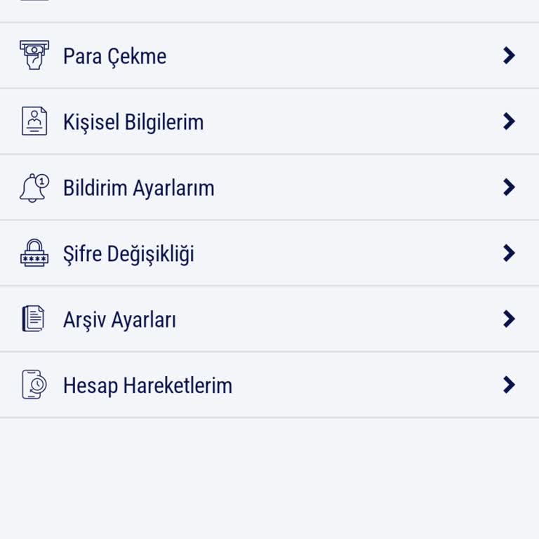 Birebin Hesabına Yapılan Yatırımın Geçmemesi