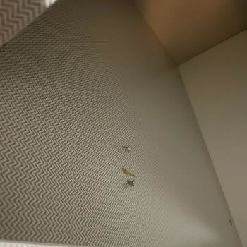 İstikbal Mobilya Teslimatı Ve Kurulum Sorunları