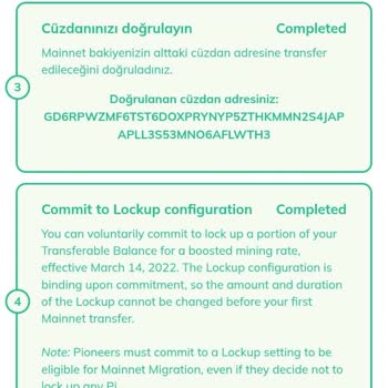 Pi Bakiyem Neden Cüzdanıma Aktarılmıyor?