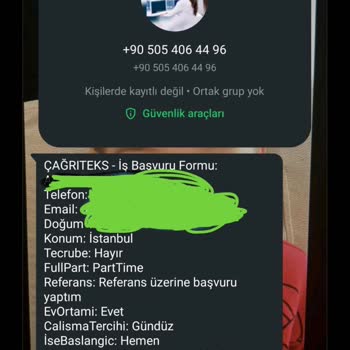 Evden Çalışma İlanının Güvenilirliği Hakkında Endişeler