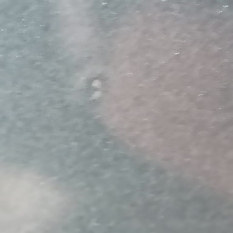 Fiat Bayisinde Boya Hatası Ve İlgisizlik Sorunu