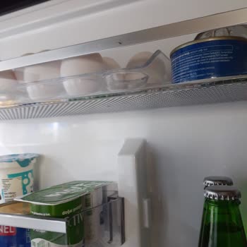 Arçelik Sent Me a Refrigerator With Insects and Refused to Replace It