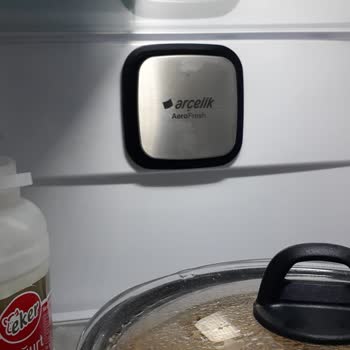 Arçelik Sent Me a Refrigerator With Insects and Refused to Replace It