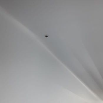 Arçelik Sent Me a Refrigerator With Insects and Refused to Replace It
