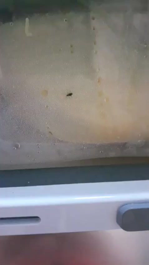 Arçelik Sent Me a Refrigerator With Insects and Refused to Replace It video cover