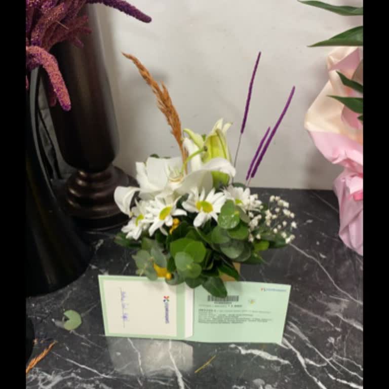 Hayal Kırıklığı Yaratan Yıl Dönümü Çiçeği