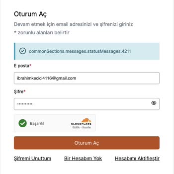 VFS Global Fransa Randevu Sistemi Sorunları
