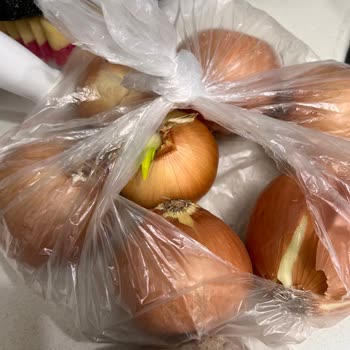 Migros Sanal Market Siparişimdeki Kalitesiz Ürünler