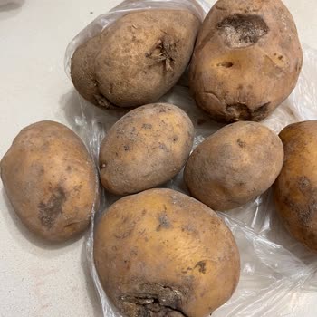 Migros Sanal Market Siparişimdeki Kalitesiz Ürünler