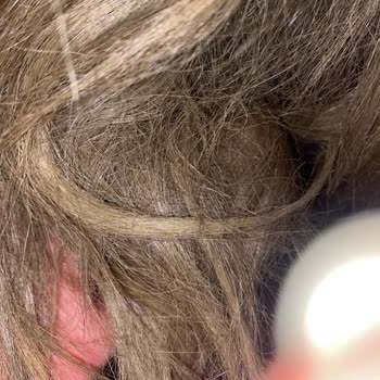 Saç Yanığı Ve Fiyat Şoku: Kuaför Kabusum