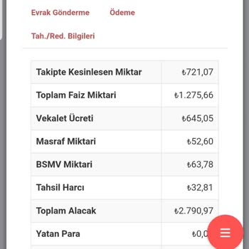 Ortak Varlık'ın Uygunsuz Borç Yapılandırması