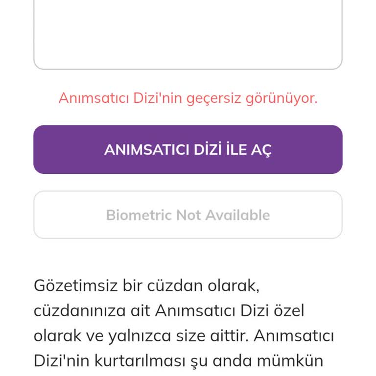Pi Network Cüzdana Erişim Sorunu: Doğru Şifreyi Kabul Etmiyor!