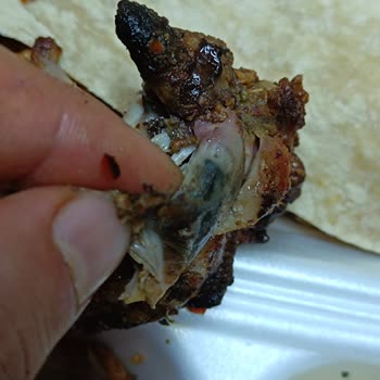 Aka Catering Yemek Fabrikası Şikayeti