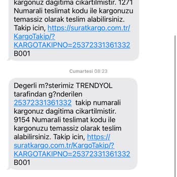 Kedilerimiz Mamasız Kaldı: Sürat Kargo'nun Teslimat Sorunu