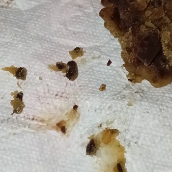 Kestane Şekeri Kabusu: Sağlıksız Ve Hijyenden Uzak Ürün