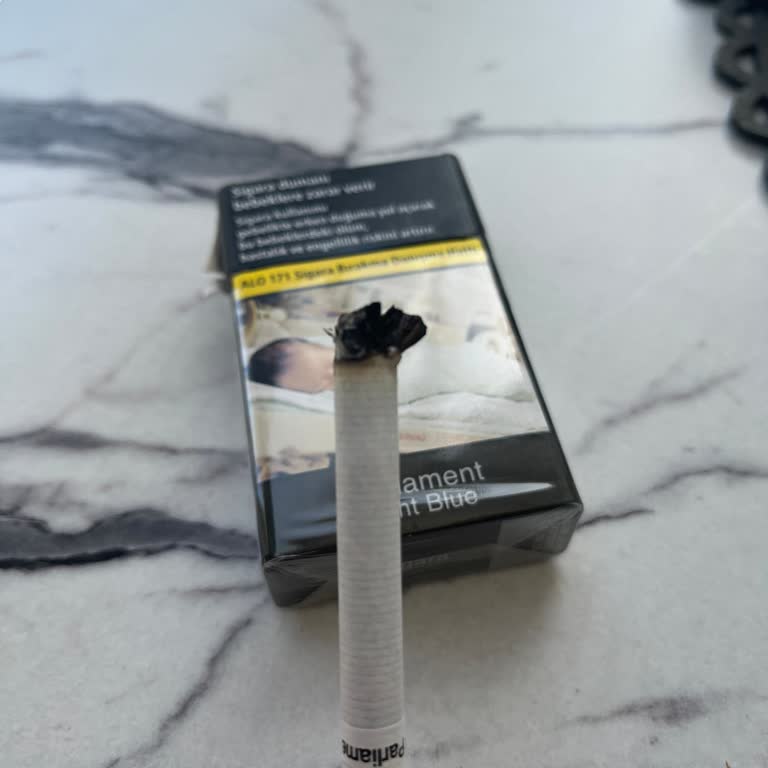 Parliament Night Blue Paketlerinde Tahta Parçası Sorunu