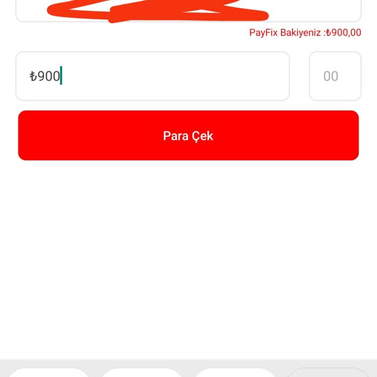 Payfix Para Çekim Sorunu: Banka Transferi Engeli