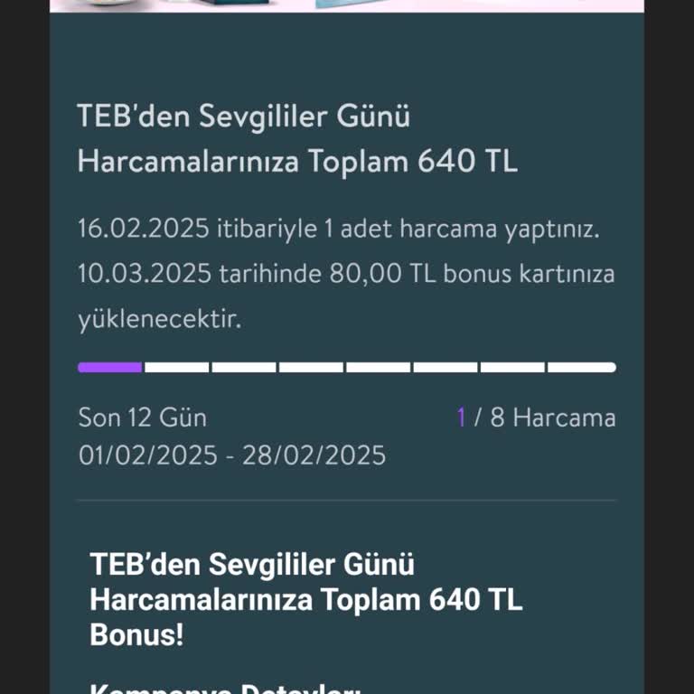 TEB Bonus Kampanyasında Söz Verilen Puanlar Neden Yatmadı?