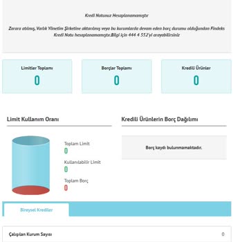 Borçlar Ödendi, Findeks Puanı Hala Güncellenmedi