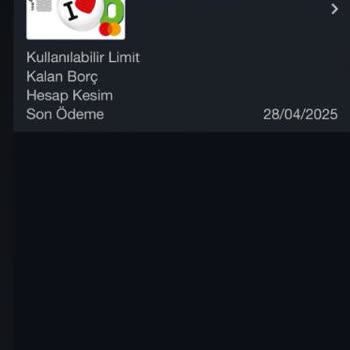 Borçlar Ödendi, Findeks Puanı Hala Güncellenmedi