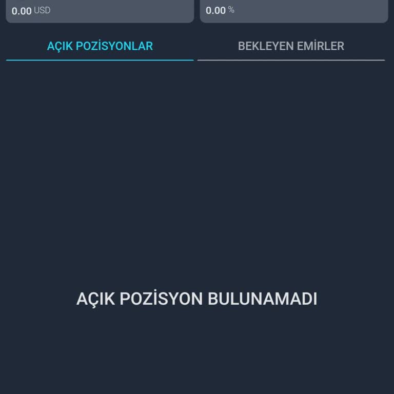 Yatırımda Beklenmedik Kayıp: Pay Menkul Değerler'de Hayal Kırıklığı