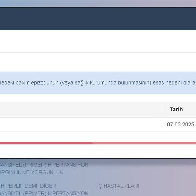 Sigorta Süreçlerinde Yaşanan Zorluklar Ve Gereksiz Evrak Talepleri