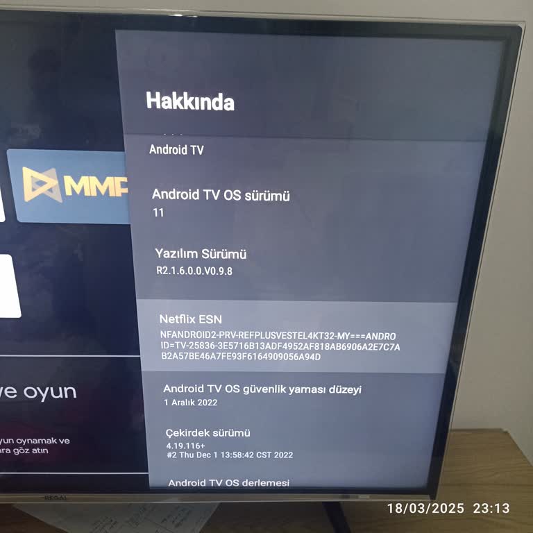 Regal Android TV Güncelleme Sorunu Ve Tavsiye Dilemması