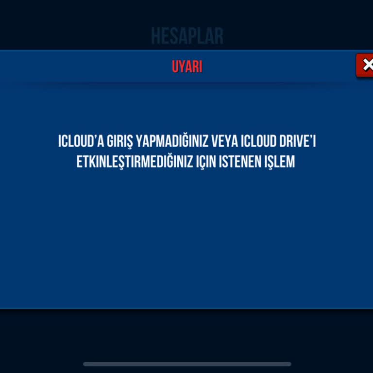 Hesap Erişim Sorunu: Acil Destek Bekliyorum