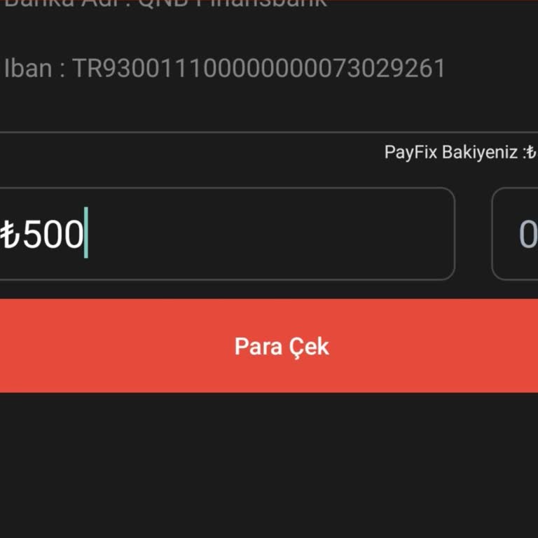 Payfix Hesabımdan Banka Transferi Yapamıyorum: Nakit Akışı Sorunu