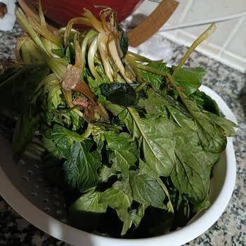 File Market'ten Çürük Sebze Gönderimi Şikayeti