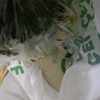 File Market'ten Çürük Sebze Gönderimi Şikayeti