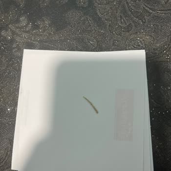 Cips Paketinden Çıkan Tehlikeli Sürpriz