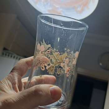 Bosch Bulaşık Makinesi Cam Ve Çelik Ürünleri Çiziyor