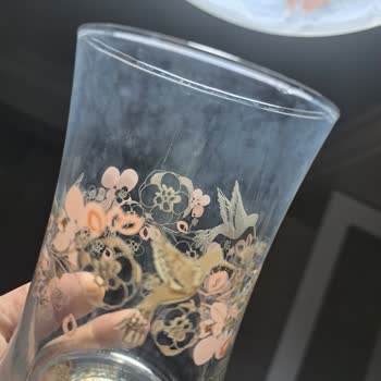 Bosch Bulaşık Makinesi Cam Ve Çelik Ürünleri Çiziyor