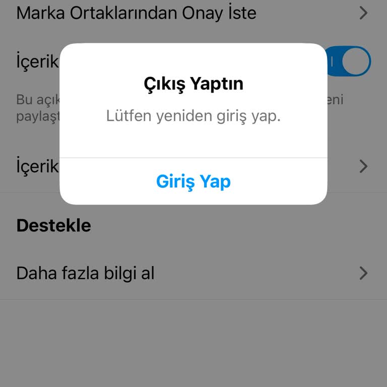 Instagram Profesyonel Pano Giriş Sorunu