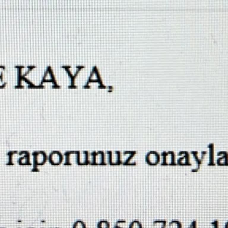 Fizik Tedavi Sürecinde İletişim Ve İlgisizlik Sorunu