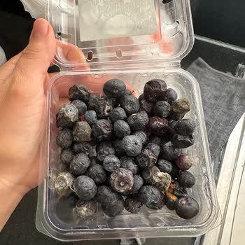 Migros Sanal Market'ten Gelen Küflü Ürün Şoku