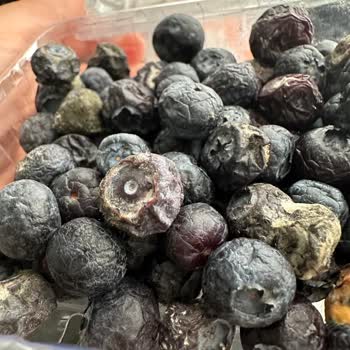 Migros Sanal Market'ten Gelen Küflü Ürün Şoku