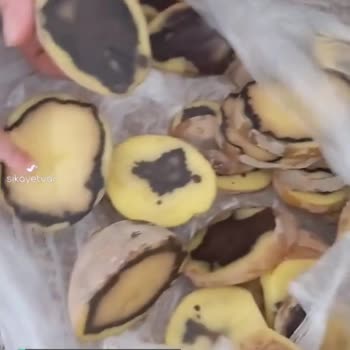A101 Patates Ortası Kara